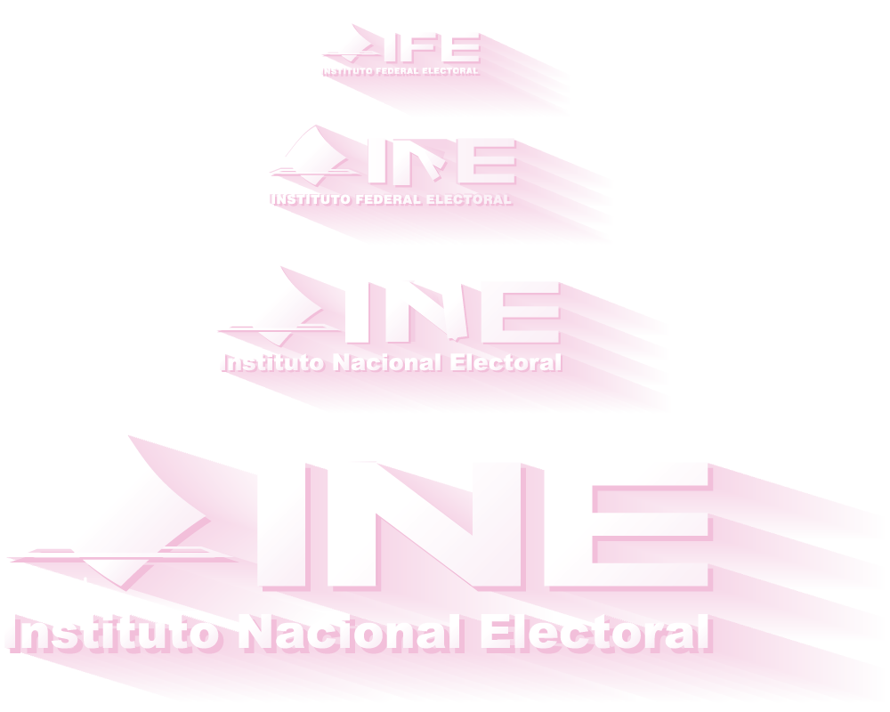 logo IFE-INE
