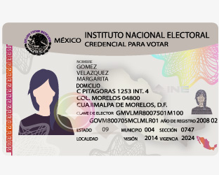 Instituto Nacional Electoral - INE