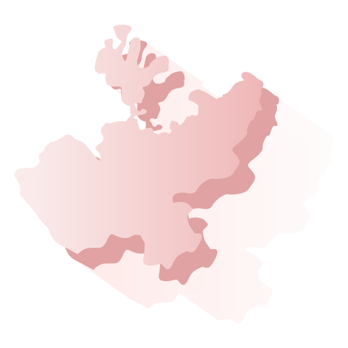 Elección Jalisco 2018