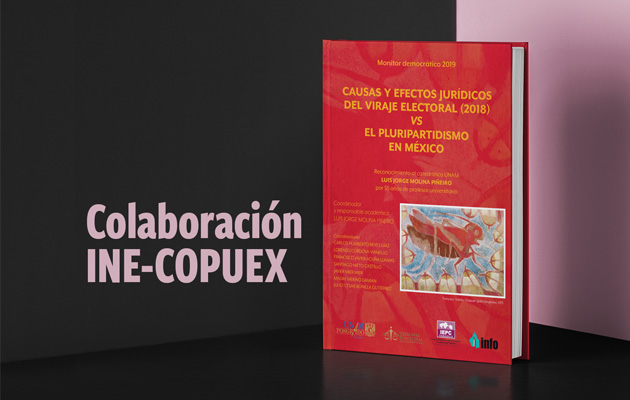 Colaboración INE-COPUEX