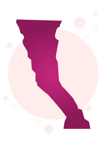 Baja California elecciones