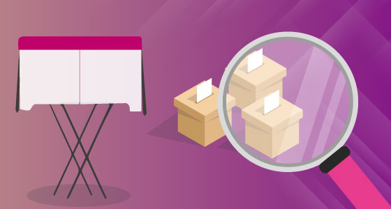 Observadores Electorales