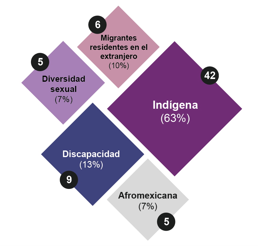 Detalle integración representativa grupos vulnerabilidad 2024