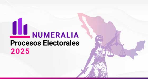 imagen Numeralia Procesos Electorales 2025