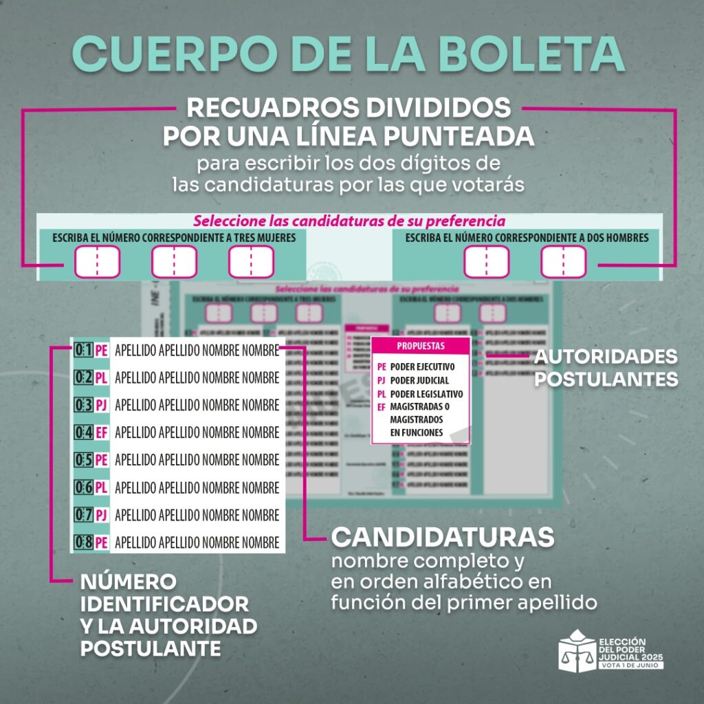 Cuerpo de la boleta Magistraturas del Tribunal de Disciplina Judicial