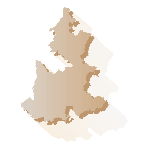 Elección Puebla 2018