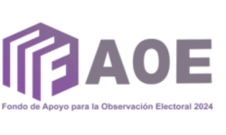 Captura de pantalla 2026-02-04 130017 Ir a la página Fondo de Apoyo para la Observación Electoral